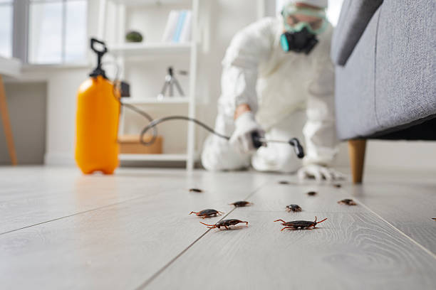 Commercial Kitchen Cockroach Control in Brooklyn Heights